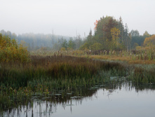DSC02500.JPG