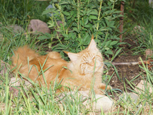 DSC02368.JPG