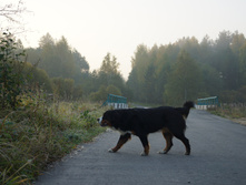 DSC02499.JPG