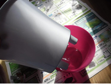 ���� ����2.jpg