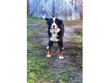 ������ 002.JPG