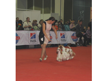 1-IMG_3666.JPG