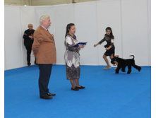 1-IMG_3647.JPG