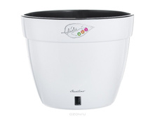 ����� ���� 2,5 �. �����-������.jpg