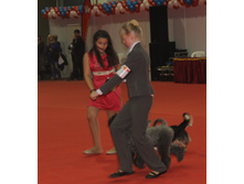 1-IMG_3558.JPG