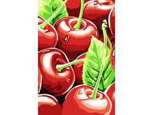 PO-C064 ������� ����� 20*30