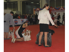 1-IMG_3659.JPG
