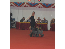 1-IMG_3669.JPG