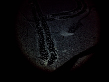 2014-11-16 18-08-02.JPG