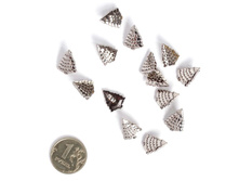 �������� ������.jpg