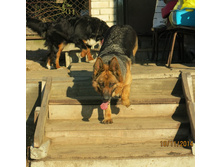 ������ 011.JPG