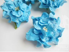 �������� 6��, 1��-17���