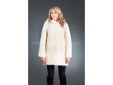 ���� ������, �������, ��������, S-146.jpeg