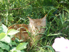 DSC02288.JPG