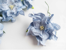 �������� 6��, 1��-17���