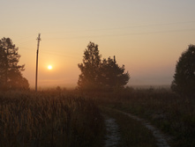 DSC02495.JPG