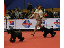 1-IMG_3502.JPG