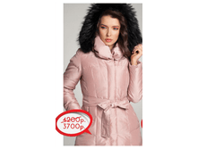 0201 c �����.png