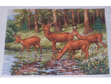 "������ �����" ������ 34*26 ��.