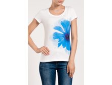 WF 8596 (T W8596.50 PK ) �������� 6,48 ��