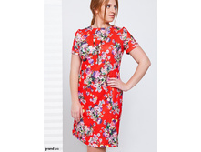 ������ ����� �������