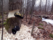 2014-11-25 11-48-14.JPG