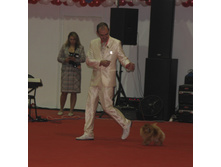 1-IMG_3687.JPG