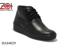 HA84029 1333�.+%.png