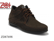 ZD87698 1333�.+%.png