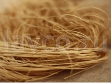 ����������� ����������� (����).jpg