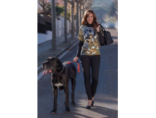 ������� ������� E642264