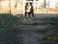 ������ 065.JPG