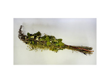 ����� ���� ����.jpg