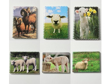 110867 ������ 42 ���.jpg