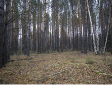 ������� ��� ����������� ������ !