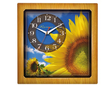 ��������� 9045272.jpg