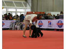 1-IMG_3513.JPG