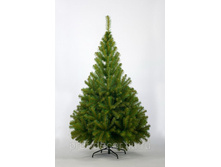 ��� ������.