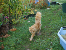 DSC02505.JPG