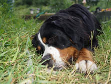 DSC02373.JPG