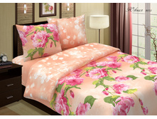 ����� ����-2.JPG