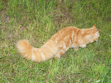 DSC02390.JPG