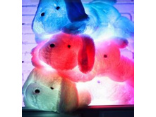 �������� ������ � LED ���������� 80 �� � ������������ ��������� ���� 1245,00