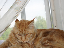 DSC02355.JPG