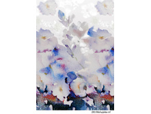 02�34_283_1. ��������. 150. 80. ���53. ������47. 344 ���..jpg