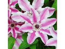 �������� ��������������� ��� �������.jpg