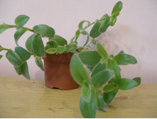 ��������+