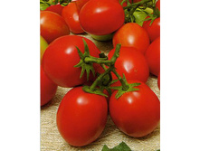 ����� ����� F1 ������������ ,(��) 4,00 ���. [���.14000864]