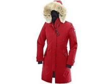 ����� 6 �������1_6610 ���..jpg