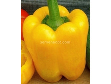 ����� �������  ������� ����,��� ��� (��)7,00 ���. [���.11000423]